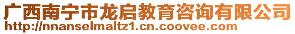 廣西南寧市龍啟教育咨詢有限公司