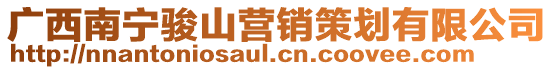 廣西南寧駿山營(yíng)銷(xiāo)策劃有限公司