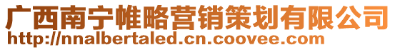 廣西南寧帷略營銷策劃有限公司