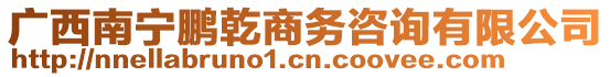 廣西南寧鵬乾商務(wù)咨詢有限公司