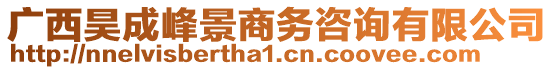 廣西昊成峰景商務(wù)咨詢有限公司