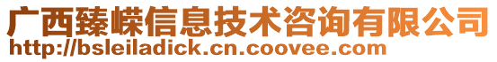 广西臻嵘信息技术咨询有限公司