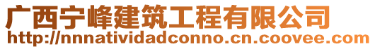 廣西寧峰建筑工程有限公司