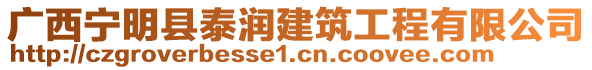 广西宁明县泰润建筑工程有限公司