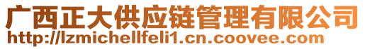 廣西正大供應(yīng)鏈管理有限公司