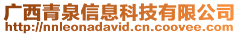 廣西青泉信息科技有限公司