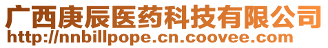 廣西庚辰醫(yī)藥科技有限公司