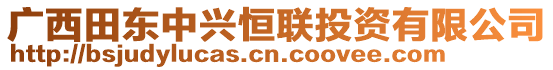 廣西田東中興恒聯(lián)投資有限公司