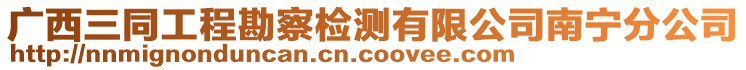 廣西三同工程勘察檢測有限公司南寧分公司