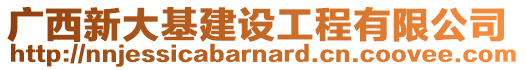 廣西新大基建設(shè)工程有限公司