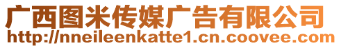 廣西圖米傳媒廣告有限公司