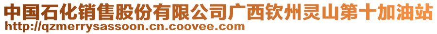 中國(guó)石化銷售股份有限公司廣西欽州靈山第十加油站