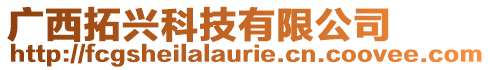 廣西拓興科技有限公司