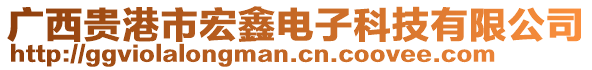 廣西貴港市宏鑫電子科技有限公司