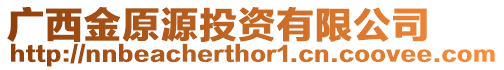 廣西金原源投資有限公司