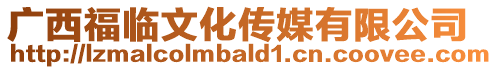 廣西福臨文化傳媒有限公司