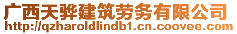 廣西天驊建筑勞務(wù)有限公司