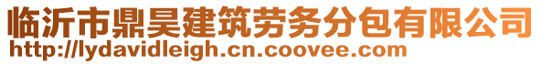 臨沂市鼎昊建筑勞務(wù)分包有限公司