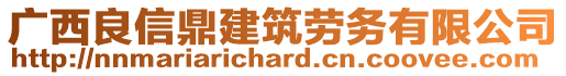 廣西良信鼎建筑勞務(wù)有限公司