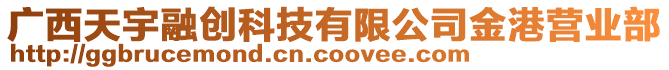 廣西天宇融創(chuàng)科技有限公司金港營業(yè)部