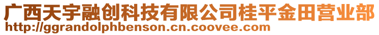 廣西天宇融創(chuàng)科技有限公司桂平金田營業(yè)部