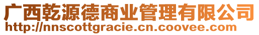 廣西乾源德商業(yè)管理有限公司