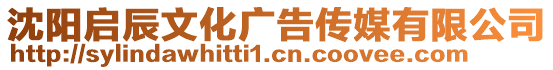 沈陽啟辰文化廣告?zhèn)髅接邢薰? style=