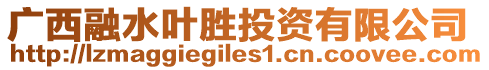 廣西融水葉勝投資有限公司