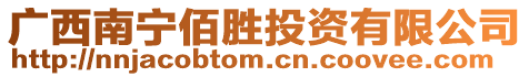 廣西南寧佰勝投資有限公司