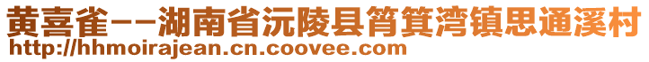 黃喜雀--湖南省沅陵縣筲箕灣鎮(zhèn)思通溪村