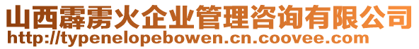 山西霹雳火企业管理咨询有限公司