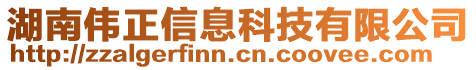 湖南偉正信息科技有限公司