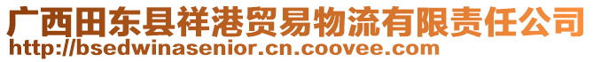 广西田东县祥港贸易物流有限责任公司