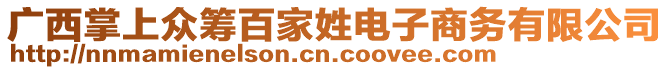 廣西掌上眾籌百家姓電子商務有限公司