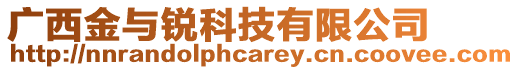 廣西金與銳科技有限公司