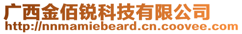 廣西金佰銳科技有限公司