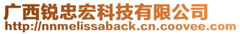 廣西銳忠宏科技有限公司