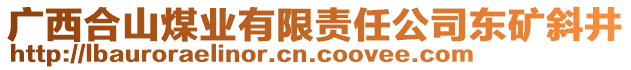 廣西合山煤業(yè)有限責(zé)任公司東礦斜井