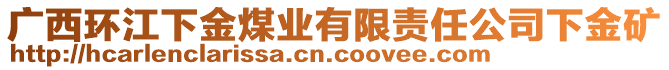 廣西環(huán)江下金煤業(yè)有限責(zé)任公司下金礦