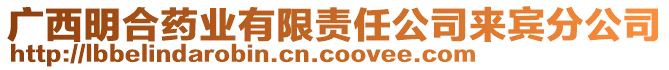 廣西明合藥業(yè)有限責(zé)任公司來(lái)賓分公司