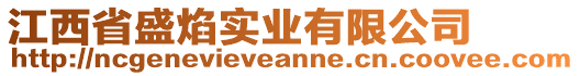 江西省盛焰實業(yè)有限公司