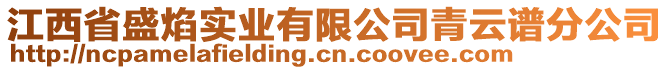 江西省盛焰實業(yè)有限公司青云譜分公司