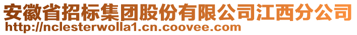 安徽省招標(biāo)集團股份有限公司江西分公司