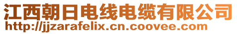 江西朝日電線電纜有限公司