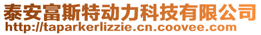 泰安富斯特動(dòng)力科技有限公司