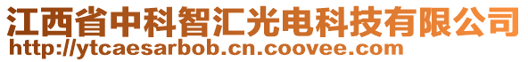 江西省中科智匯光電科技有限公司