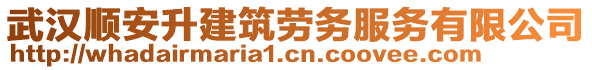 武漢順安升建筑勞務服務有限公司