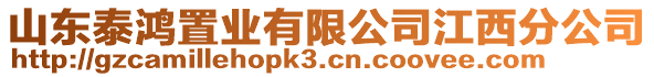 山東泰鴻置業(yè)有限公司江西分公司