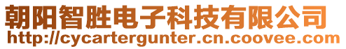 朝陽智勝電子科技有限公司