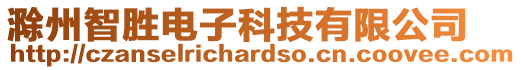 滁州智勝電子科技有限公司